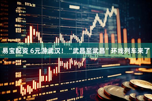易宝配资 6元游武汉!“武昌至武昌”环线列车来了