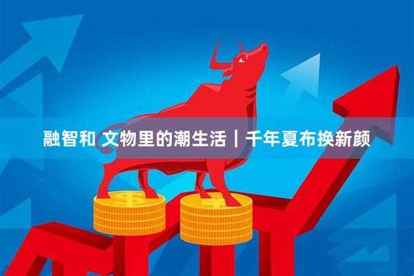 融智和 文物里的潮生活｜千年夏布换新颜