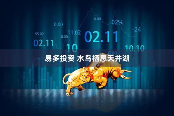 易多投资 水鸟栖息天井湖